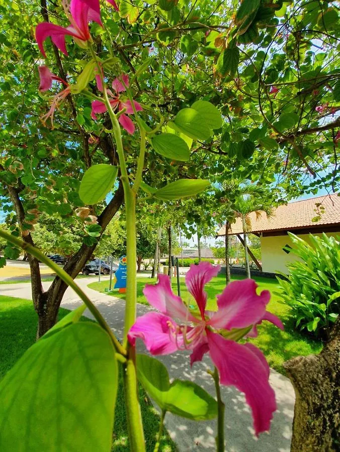 Flat Marulhos Porto De Galinhas - 305D Apartment